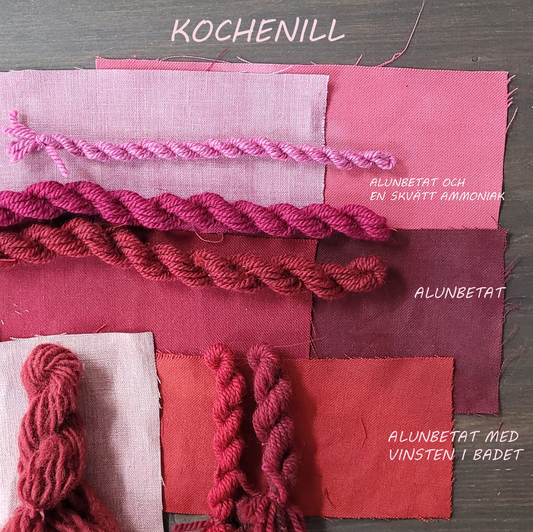 Kochenille - hel