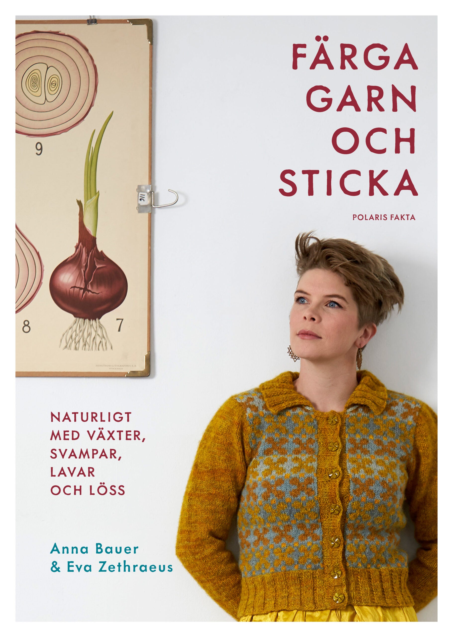 Bok: Färga garn och sticka: naturligt med växter, svampar, lavar och löss